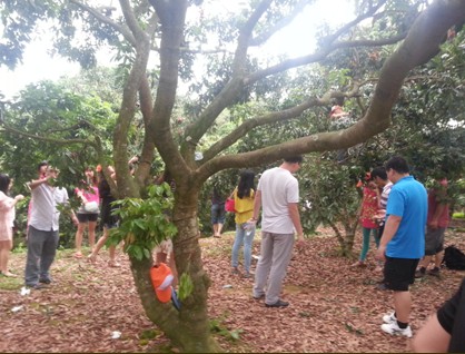 夢幻海洋 浪漫之旅－－－大將軍陶瓷精英啟程飛往心中的幸福
(圖5)